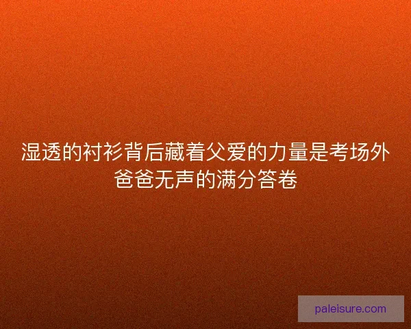 湿透的衬衫背后藏着父爱的力量是考场外爸爸无声的满分答卷